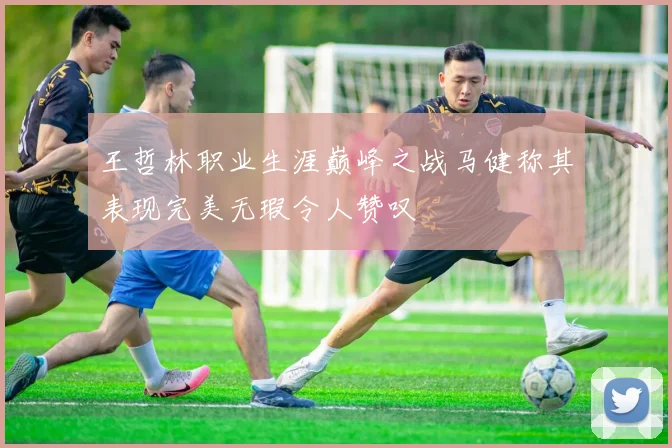 王哲林职业生涯巅峰之战马健称其表现完美无瑕令人赞叹